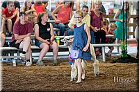 LCFAIR17-7086.jpg