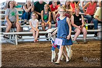 LCFAIR17-7087.jpg