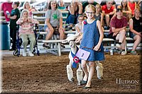 LCFAIR17-7090.jpg