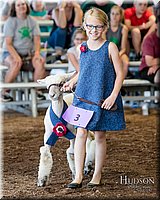 LCFAIR17-7091.jpg