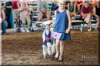 LCFAIR17-7093.jpg