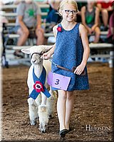 LCFAIR17-7094.jpg