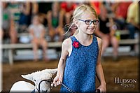 LCFAIR17-7097.jpg