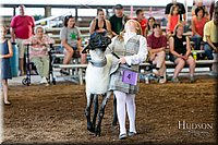 LCFAIR17-7129.jpg