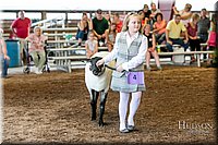 LCFAIR17-7159.jpg