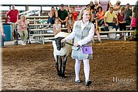 LCFAIR17-7160.jpg