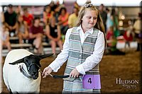 LCFAIR17-7161.jpg