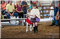 LCFAIR17-7169.jpg