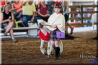 LCFAIR17-7170.jpg