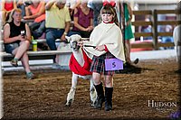 LCFAIR17-7171.jpg