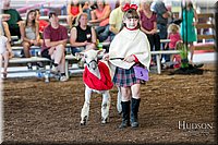 LCFAIR17-7172.jpg