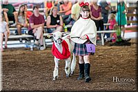 LCFAIR17-7173.jpg