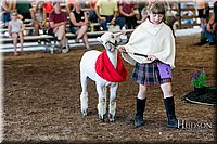 LCFAIR17-7190.jpg