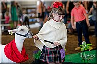 LCFAIR17-7191.jpg