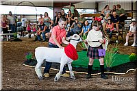 LCFAIR17-7196.jpg