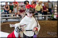 LCFAIR17-7214.jpg