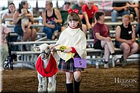 LCFAIR17-7238.jpg