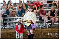 LCFAIR17-7239.jpg