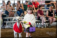 LCFAIR17-7240.jpg