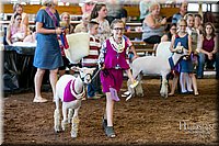 LCFAIR17-7241.jpg