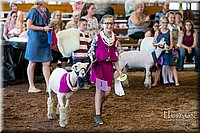 LCFAIR17-7242.jpg