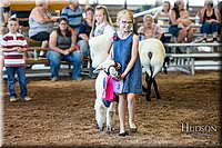 LCFAIR17-7244.jpg