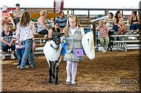 LCFAIR17-7245.jpg