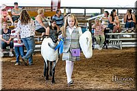 LCFAIR17-7246.jpg