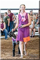 LCFAIR17-7252.jpg