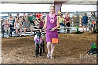 LCFAIR17-7270.jpg