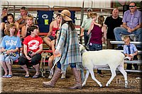 LCFAIR17-7291.jpg