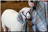 LCFAIR17-7321.jpg