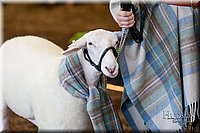 LCFAIR17-7322.jpg