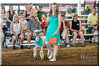 LCFAIR17-7325.jpg