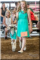 LCFAIR17-7326.jpg