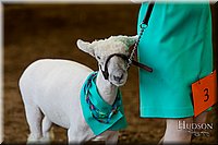 LCFAIR17-7336.jpg