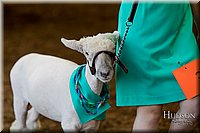 LCFAIR17-7337.jpg