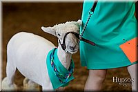 LCFAIR17-7338.jpg