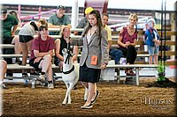 LCFAIR17-7366.jpg