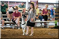 LCFAIR17-7367.jpg