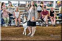 LCFAIR17-7369.jpg