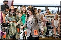 LCFAIR17-7370.jpg