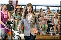 LCFAIR17-7372.jpg