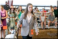 LCFAIR17-7375.jpg