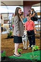 LCFAIR17-7384.jpg