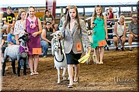 LCFAIR17-7454.jpg