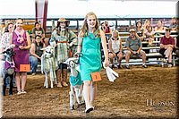 LCFAIR17-7457.jpg