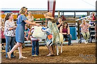 LCFAIR17-7466.jpg