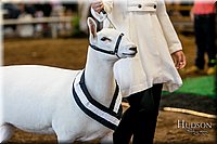 LCFAIR17-7488.jpg