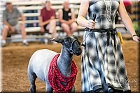 LCFAIR17-7516.jpg